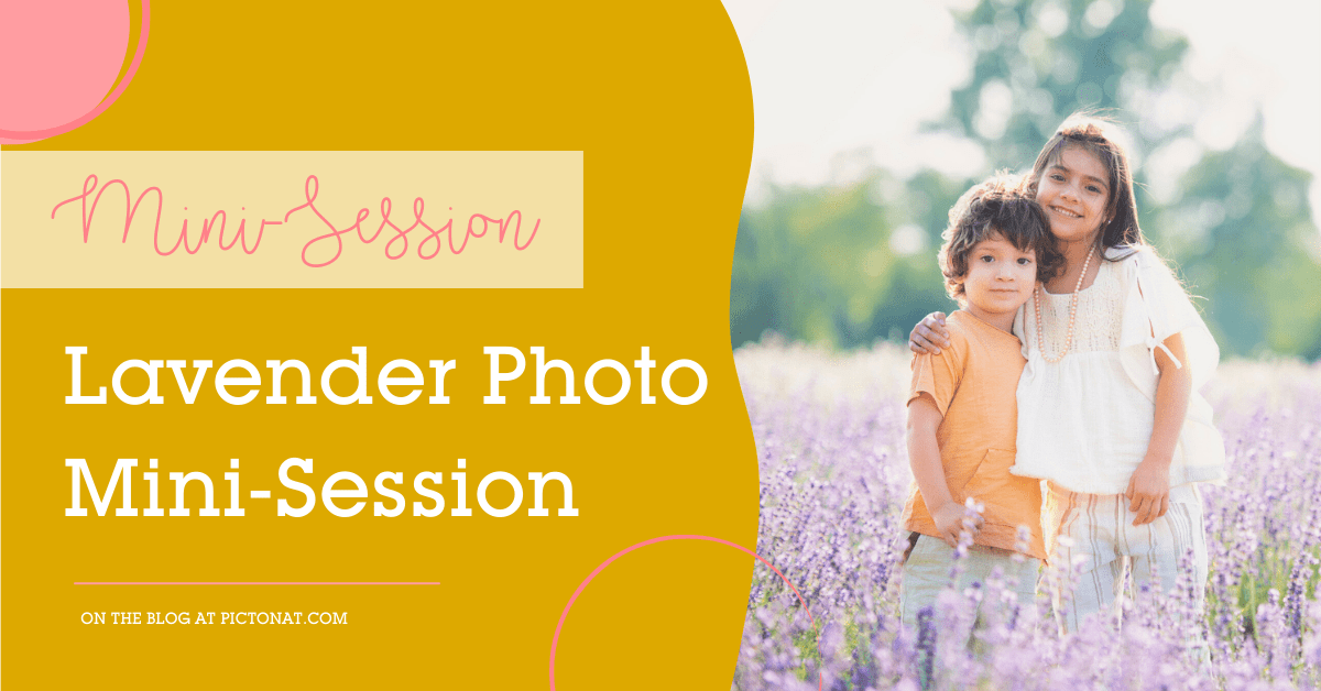 Lavender Mini-Session Pictonat Photography